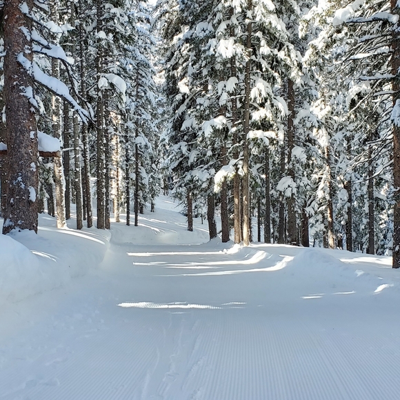 Ambassador❤Mentor❤High Rated Seller❤Send Offers❤ - Picture 7 of 12